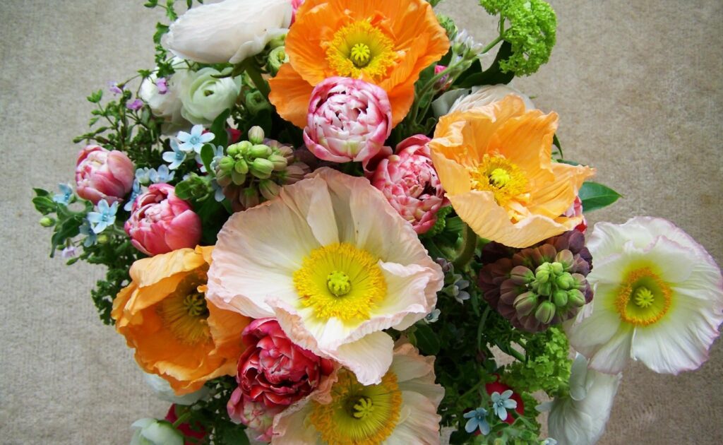 57b5e233 91da 4278 914b b26cdc3cdfcb