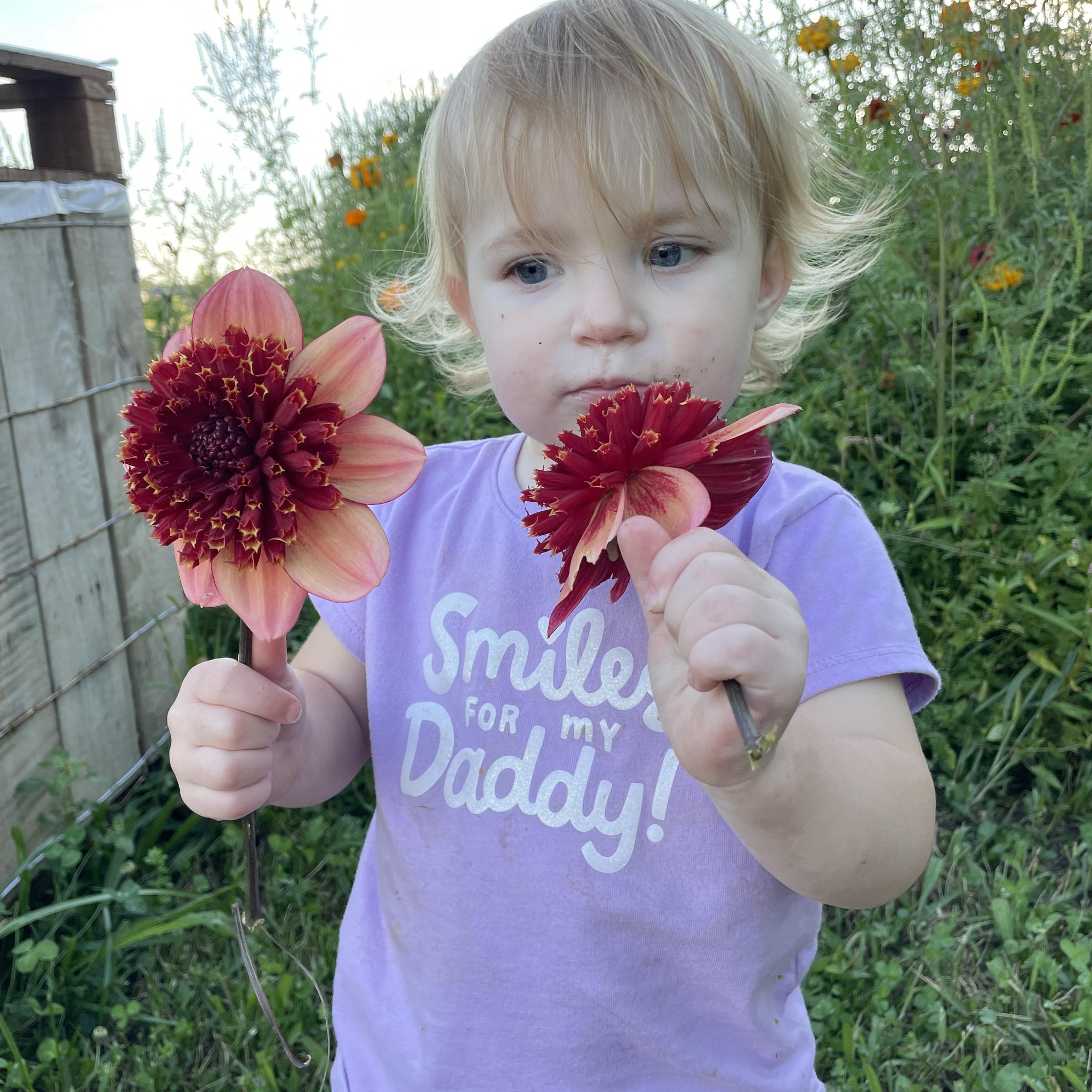 644422386 122160475634855673 4962943504158374752 n