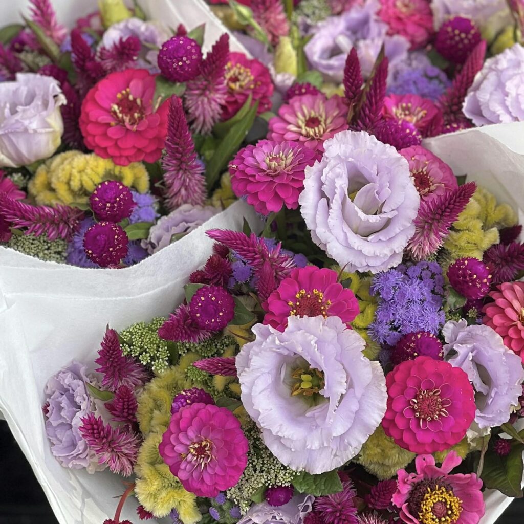 b66bc7f4 4d0f 4158 bbd0 df80c23b2b52