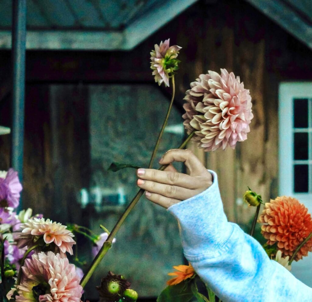 f8e0232b a9df 4e2b 9c99 cab04e952c7f