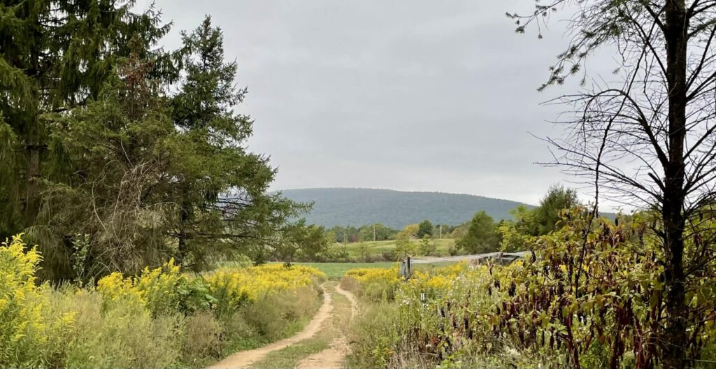 2881a48a 1cea 4f44 8f7f 7e5e9e4309bc