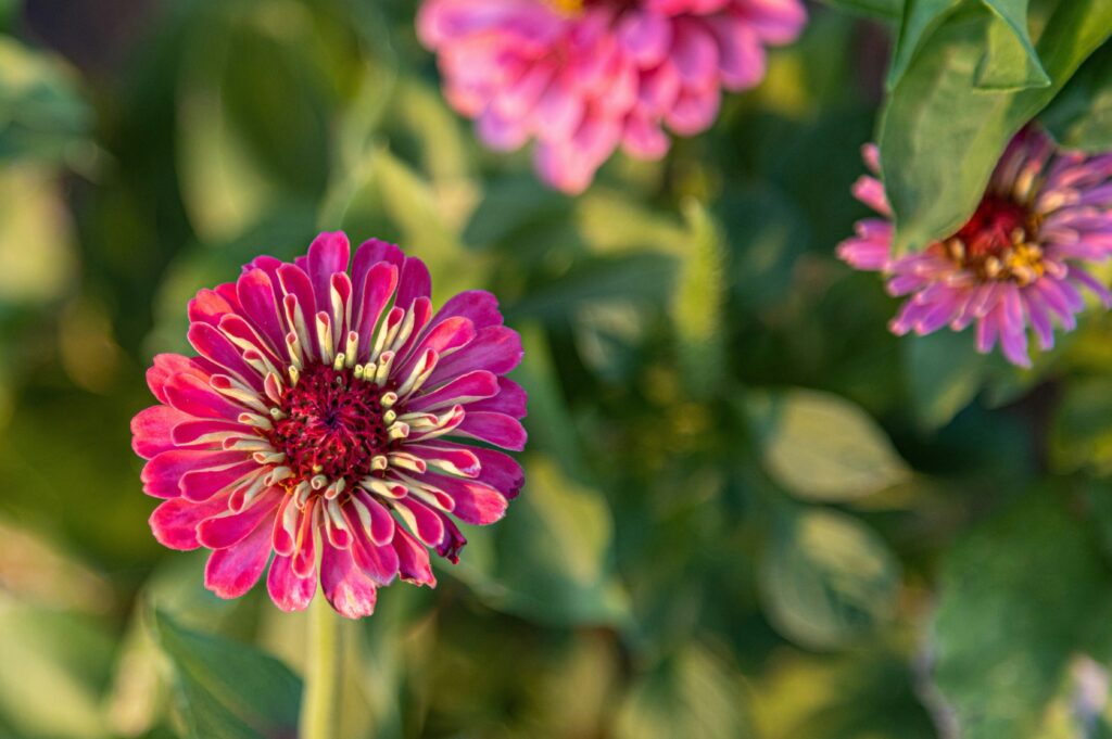 eric brehm fmwss ukqi unsplash